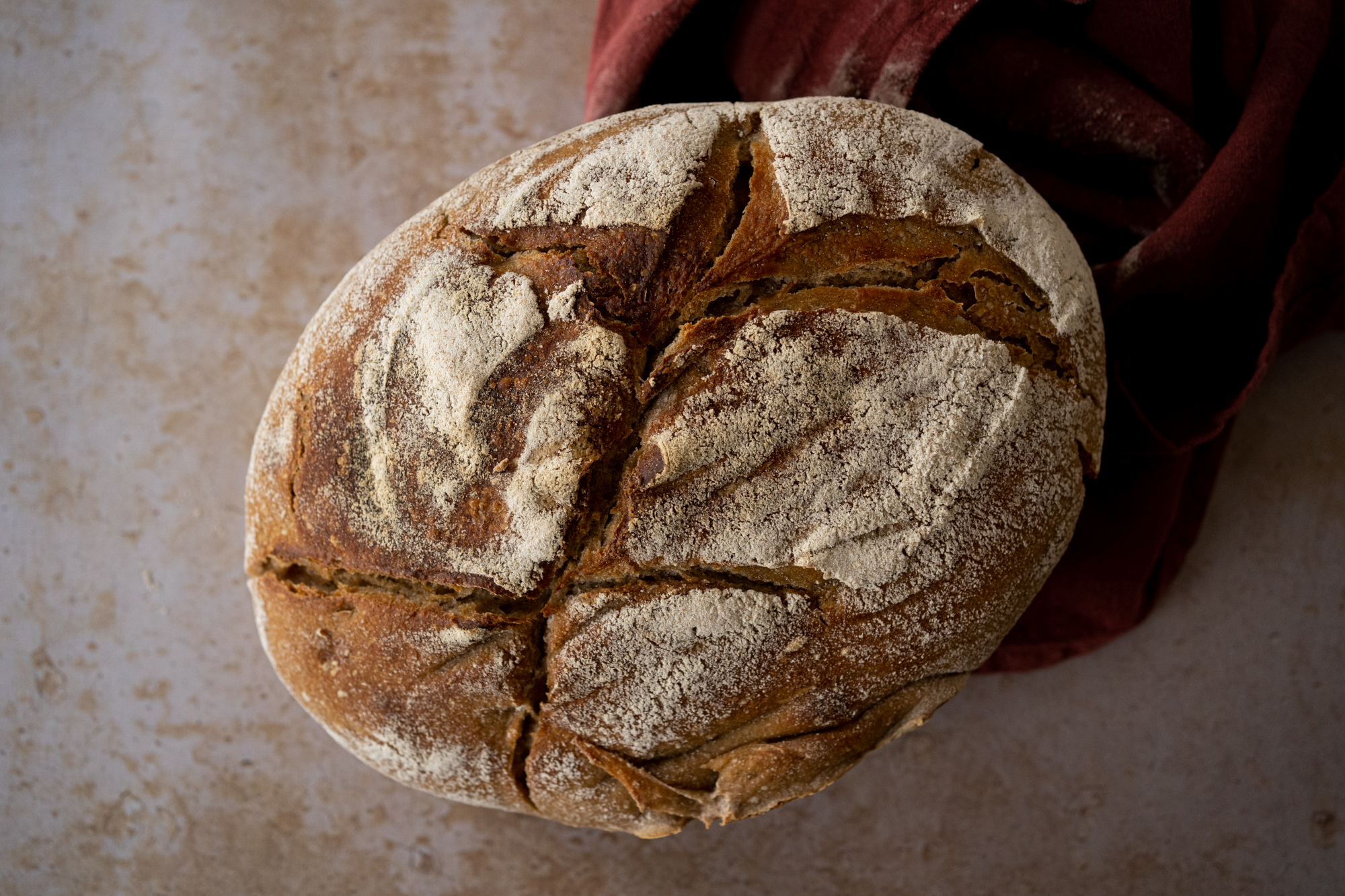 Pain de campagne - La crème de la burrata